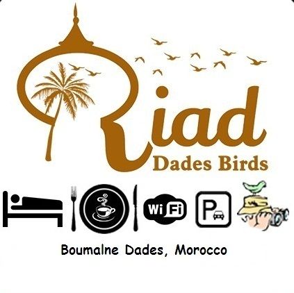 Riad Dades Birds